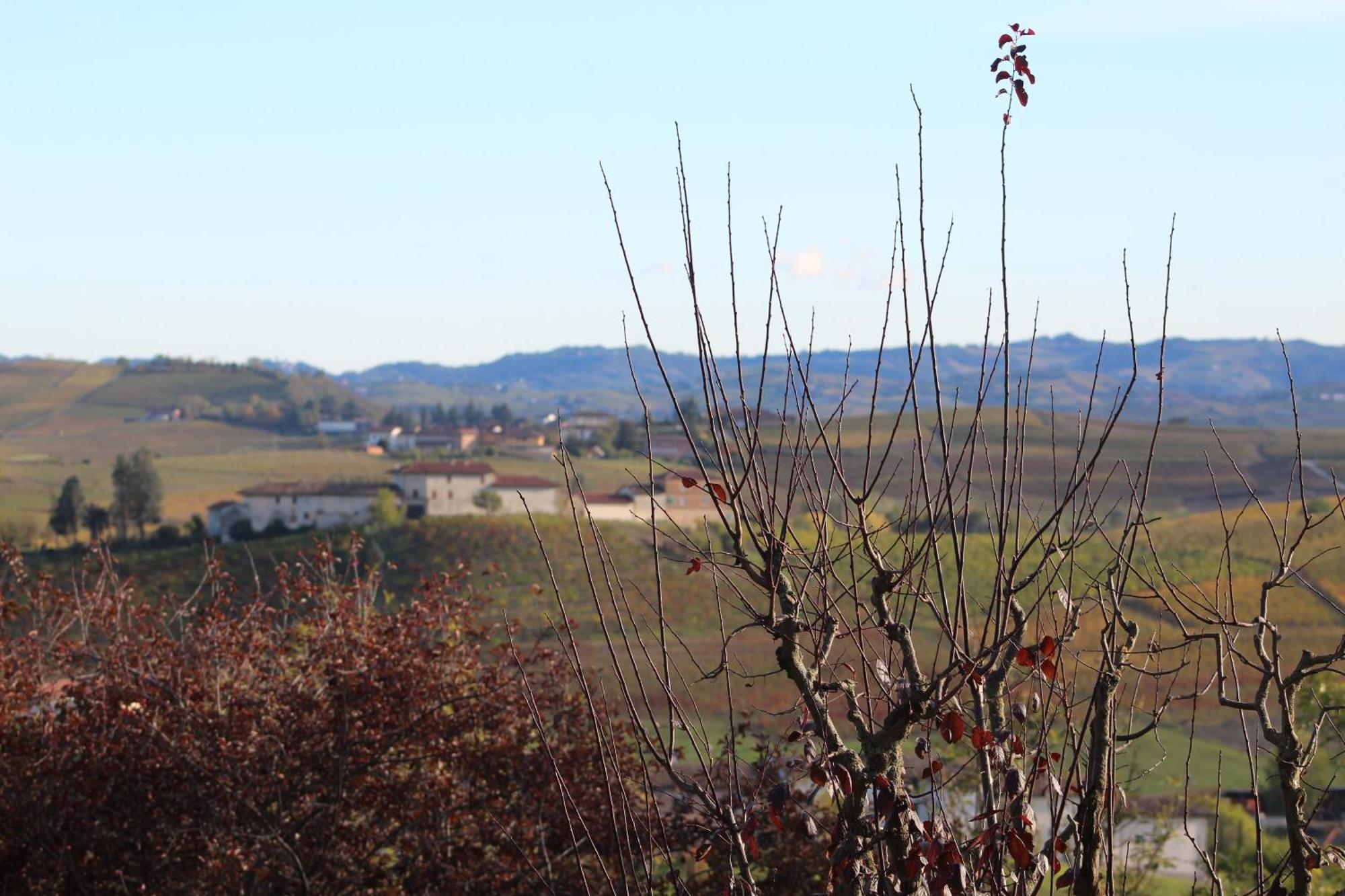 Locanda Del Boscogrande Montegrosso dʼAsti Dış mekan fotoğraf