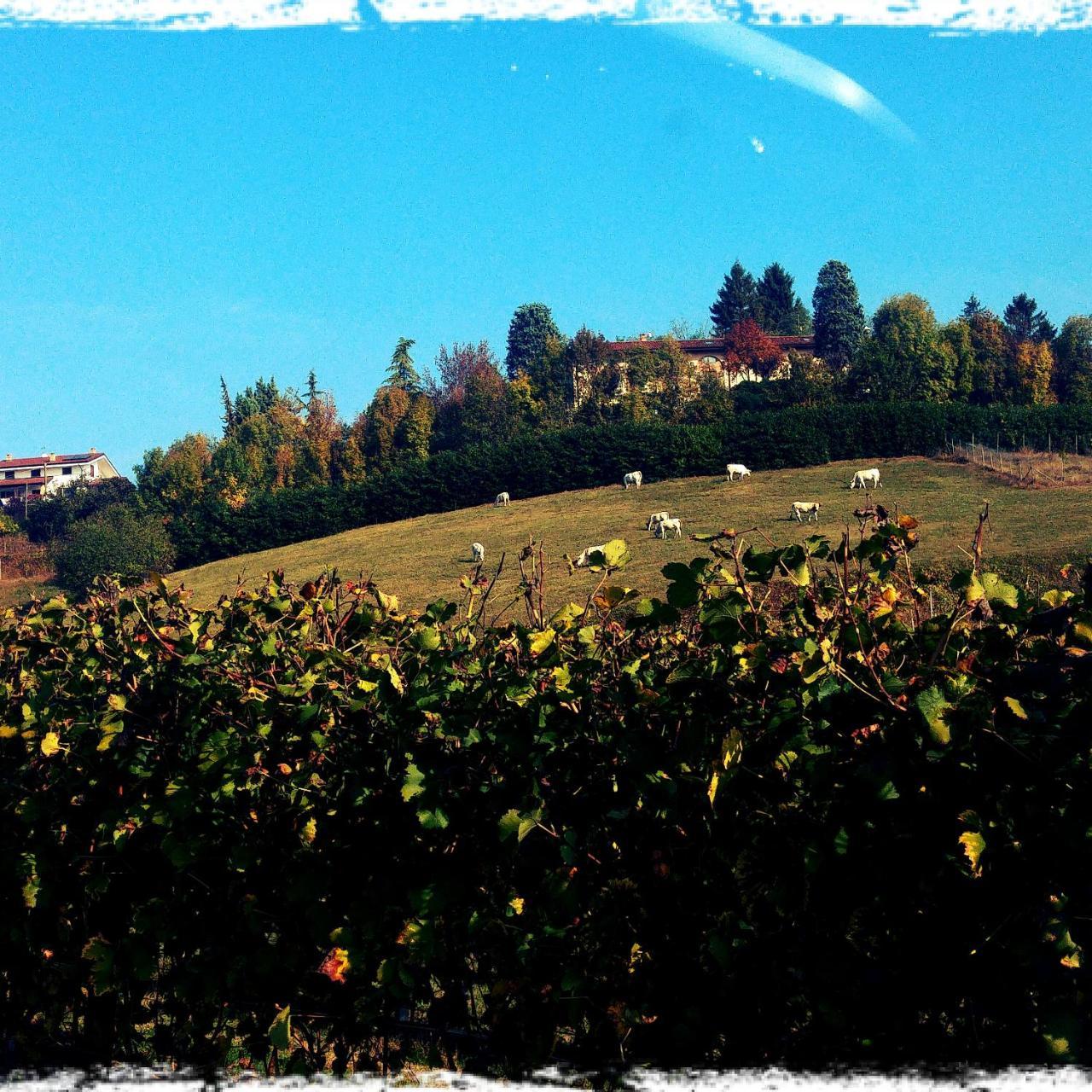 Locanda Del Boscogrande Montegrosso dʼAsti Dış mekan fotoğraf